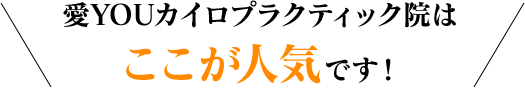 愛YOUカイロプラクティック院はここが人気です